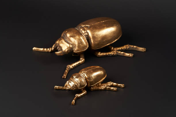 istock Golden scarab beetle on black background with copy space 1185305982