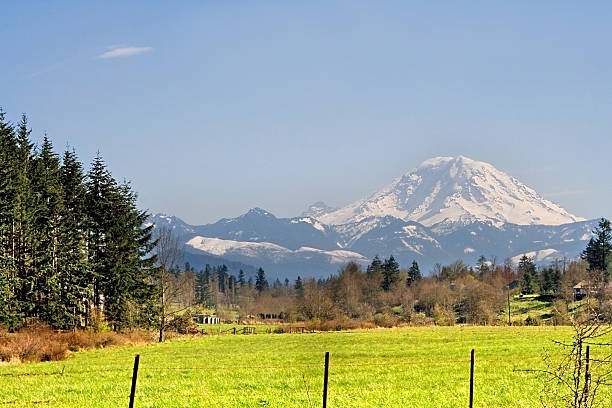 istock Mt. Rainier viewed from across a field 118530684