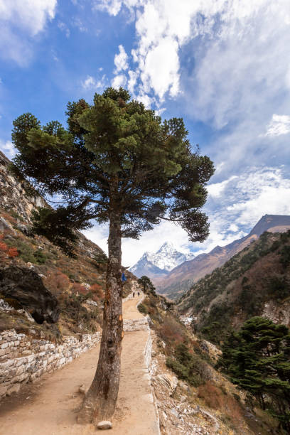 istock Trekking Everest Base Camp. Nepal. 1185310819