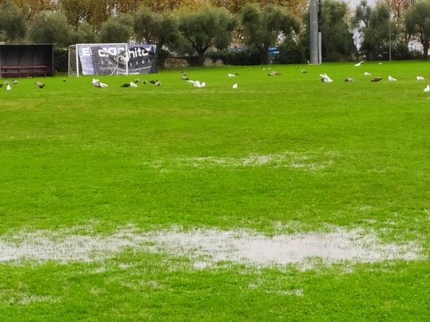 istock Rain in the field' s soccer 1185311184