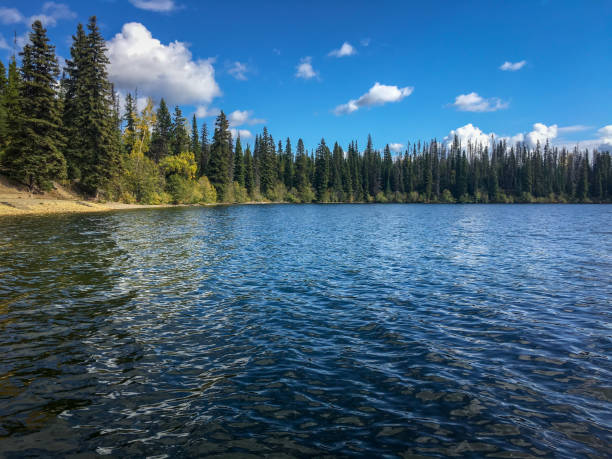 istock Relaxing Beautiful Autumn Lake Shore Landscape With Blue Sky And Water Reflection 1185311917