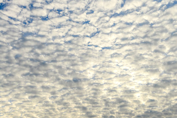 The blue sky and white fluffy clouds.