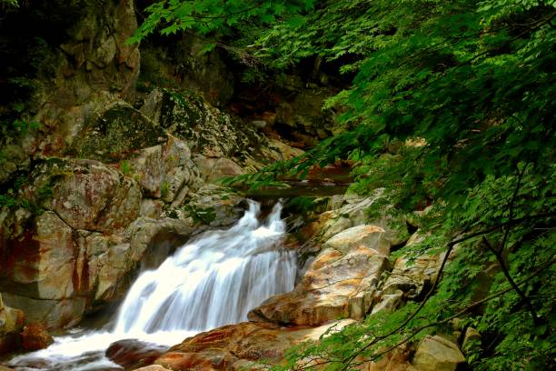 istock vd724 Jirisan Snake Valley 1185312983