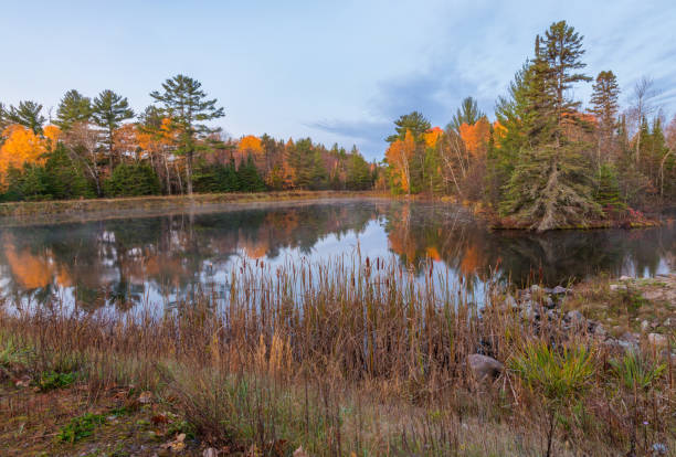 istock Orange colored trees shoreline 1185312999