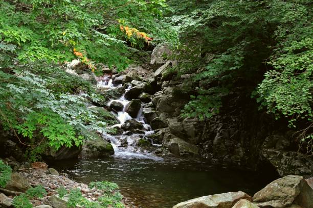 istock vd724 Jirisan Snake Valley 1185313082