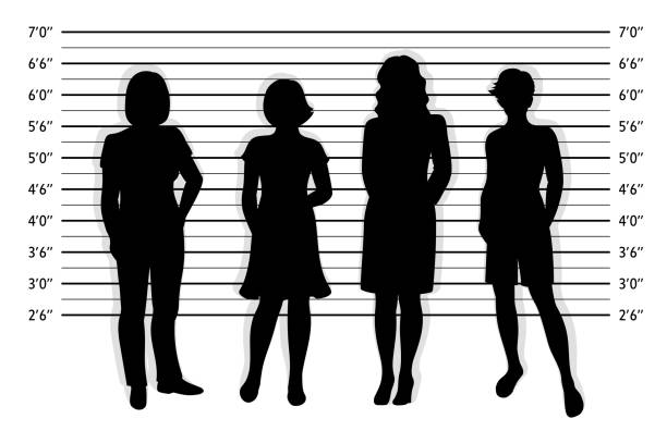 policyjny skład. mugshot tle z sylwetką różnych kobiet - wanted poster audio stock illustrations