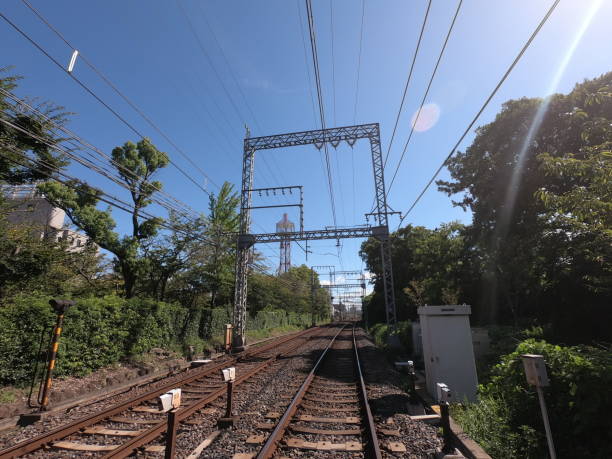 istock the rail way in Nara, Japan 1185315377