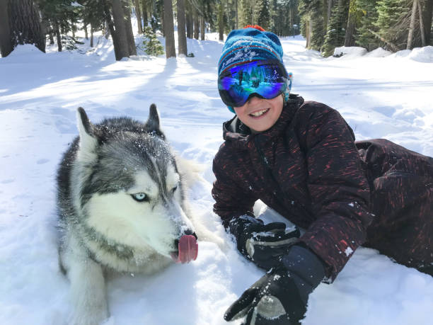 husky miłość ze swoim 9-letnim chłopcem w pięknym lesie jeziora tahoe w kalifornii. - snowshoeing snowshoe child winter zdjęcia i obrazy z banku zdjęć
