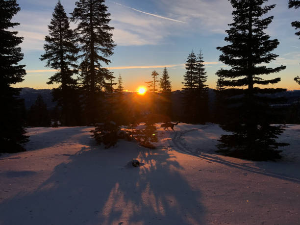 istock Sunrise in Lake Tahoe 1185316863