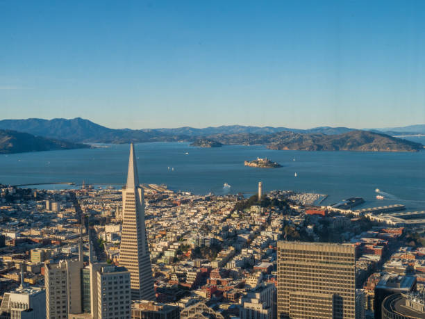 blick auf die transamerica pyramide, alcatraz und san francisco bay vom höchsten aussichtspunkt der stadt - columbus tower stock-fotos und bilder