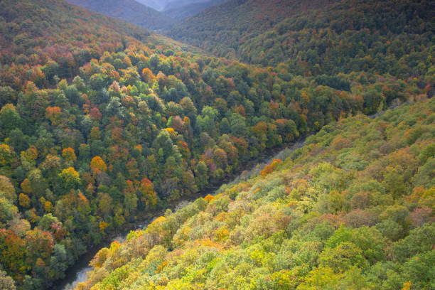 istock Autumn in the Maple Valley through which the Irati River runs, from the Ariztokia Viewpoint, Navarra Pyrenees 1185320299