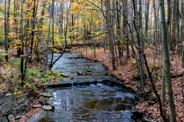 istock buttermilk falls willoughby ohio in autumn 1185326724