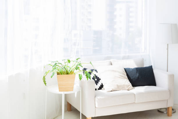 istock living room interior 1185327671