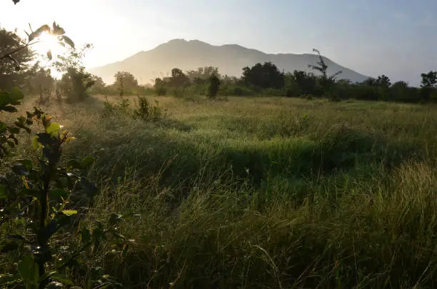 The jungle, mountain,forest and sunrise in an early morning