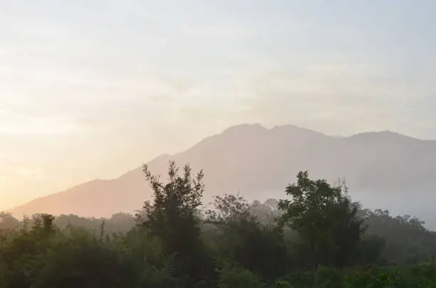The jungle, mountain,forest and sunrise in an early morning