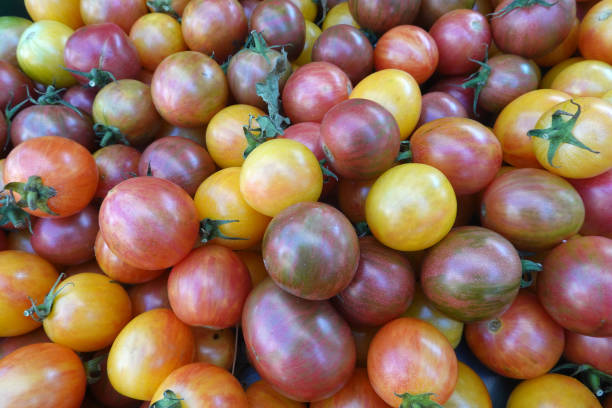 istock Pile of Heirloom Tomatoes 1185329710