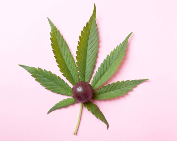chocolate candy on a leaf of marijuana.Concept: Drug Sweets