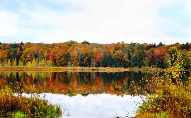 istock Autumn landscape. Autumn reflections 1185331870