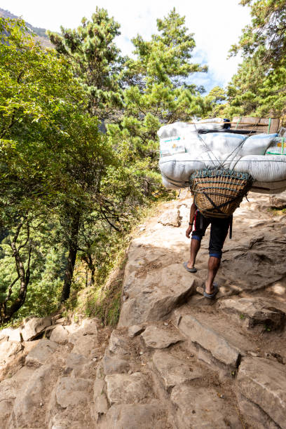 istock Trekking Everest Base Camp. Nepal. 1185334360