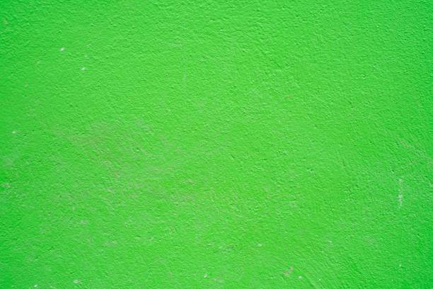 istock Green clean Color abstract  cement painted  have copy space for text. background texture wall. 1185336279