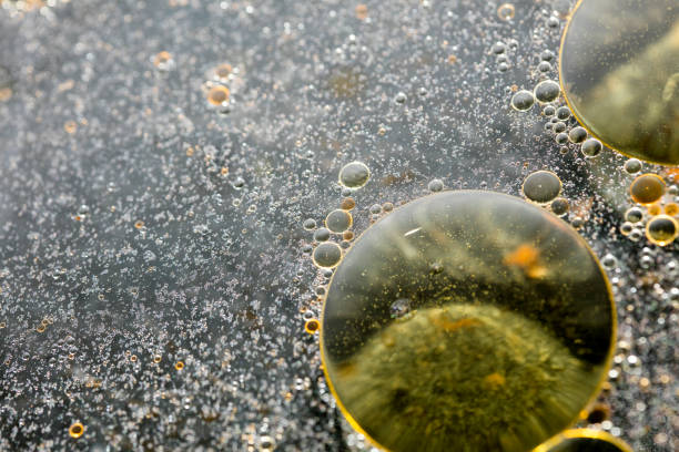 istock Colorful bubbles macro background fifty megapixels high quality 1185338281