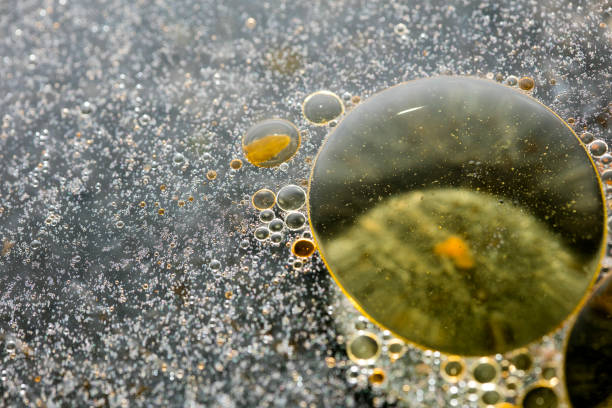 istock Colorful bubbles macro background fifty megapixels high quality 1185338792