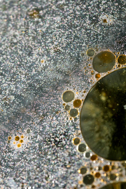 istock Colorful bubbles macro background fifty megapixels high quality 1185338802