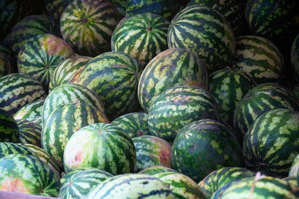istock Water melon at fruit market 1185339523