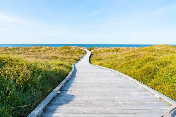 istock Wooden walkway through dunes to sea 1185342982