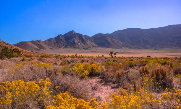 istock Esteemed Mother Nature. 1185351743