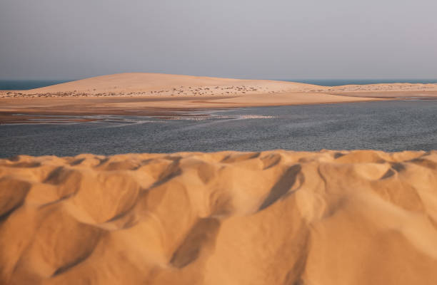 istock Sealine desert in qatar 1185361158