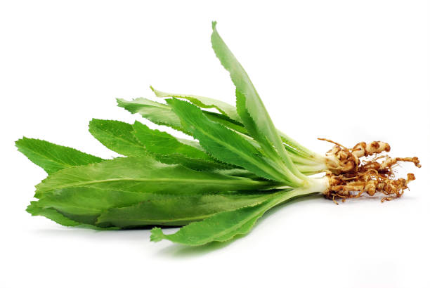 istock Cilantro or Parsley isolated on white background 1185361265