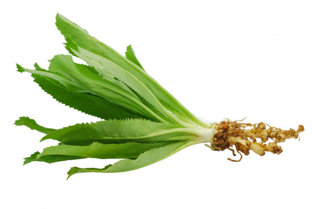 istock Cilantro or Parsley isolated on white background 1185361297