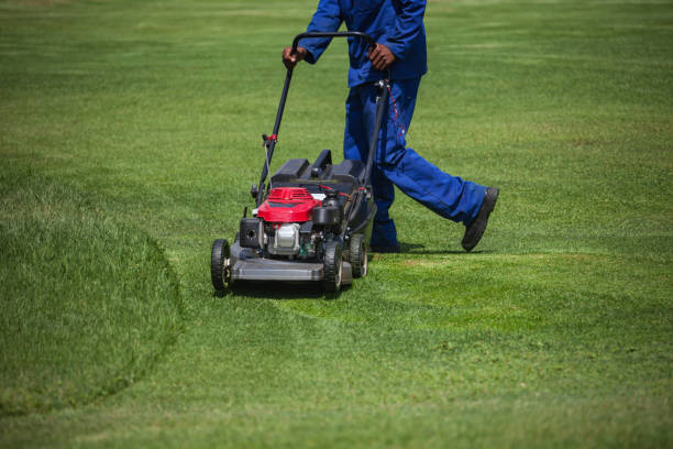 istock Lawnmower cutting green grass 1185362307