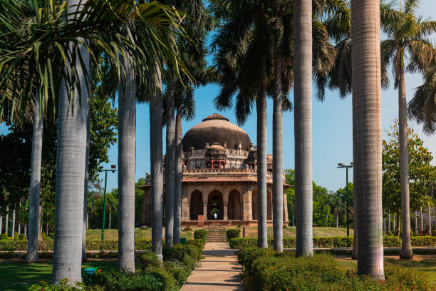 Lodi garden, A famous tourist place in Delhi. New Delhi, Delhi, India: Row of palm trees leading to the tomb of Mohammed Shah at the Lodhi Garden. lodi gardens stock pictures, royalty-free photos & images