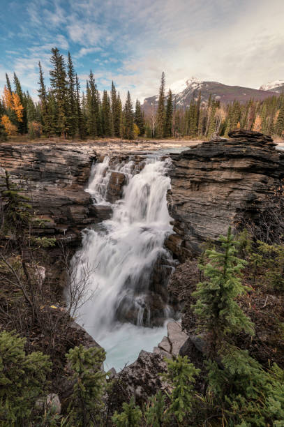 istock Athabasca Falls on the upper Athabasca river is waterfall in Jasper national park 1185368966