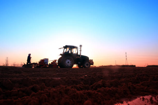 istock The tractor in farmland farming 1185371912
