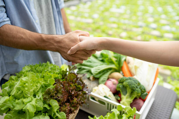 o proprietário de uma fazenda de vegetais orgânicos conversou com os clientes sobre o negócio de exportação. aperte as mãos ao falar com sucesso. - organic farmers market market vegetable - fotografias e filmes do acervo