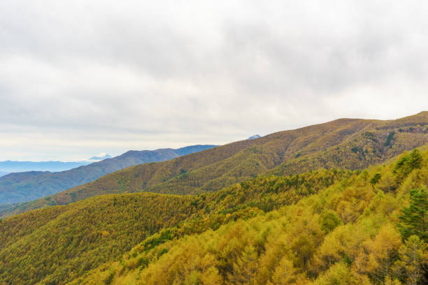 istock View from Mt. Nyukasa-yama 1185375677