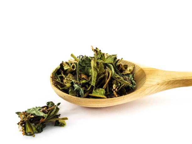 istock Highlander pepper or Persicaria hydropiper in wooden spoon on white background 1185377076