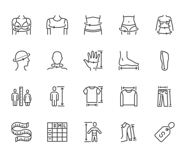 ilustrações de stock, clip art, desenhos animados e ícones de clothes size flat line icons set. body measurement waist circumference, hip, chest, sleeve length, height vector illustrations. outline signs clothing sizes table. pixel perfect 64x64 editable stroke - waist