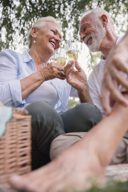 istock Senior couple having some wine on a picnic 1185379345