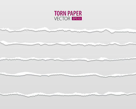 Torn paper edges. Vector torn paper with ripped edges on a transparent background for web and print