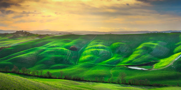 istock Tuscany panorama, rolling hills, trees and green fields. Italy 1185382879