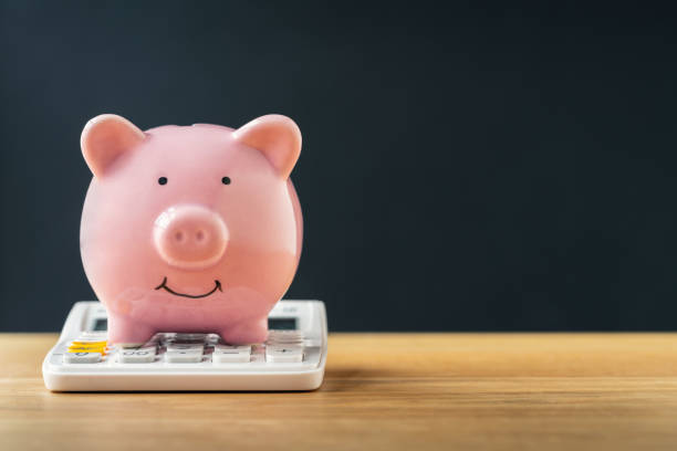 istock Piggy bank with calculator 1185384640