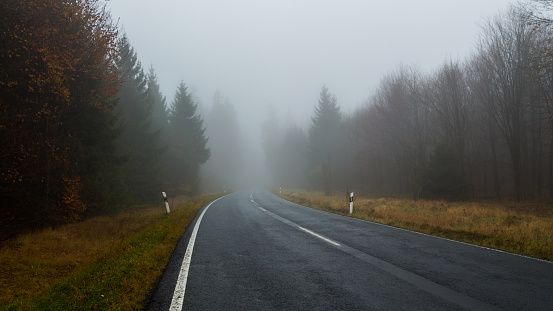 empty foggy and wet forest road, Vogelsberg,Germany