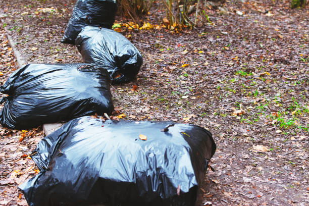 istock Large black plastic bags with garbage inside lie on the ground 1185386434
