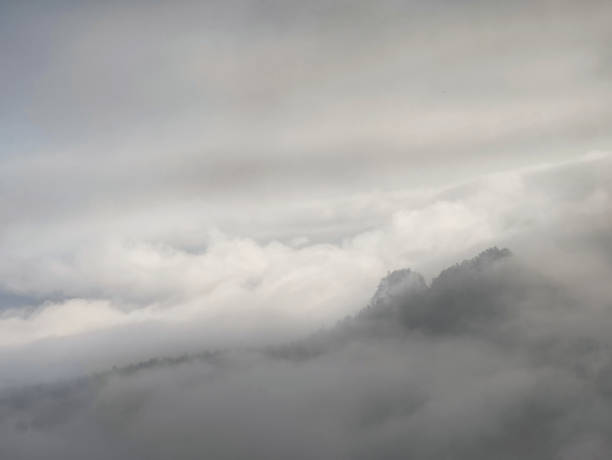 istock Heavy misty daybreak. Misty daybreak in a beautiful hills 1185387178