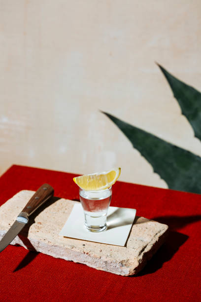 istock Tequila bum bum shots and agave leaves 1185389839