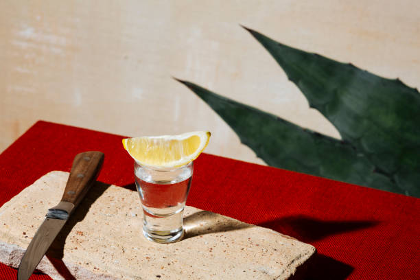 tequila-aufnahmen mit zitronen- und agavenblättern - tequila shot tequila salt lemon stock-fotos und bilder